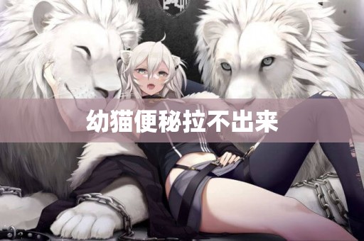 幼貓便秘拉不出來