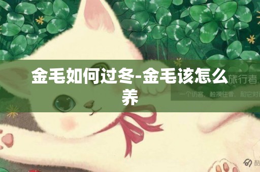 金毛如何過冬-金毛該怎么養