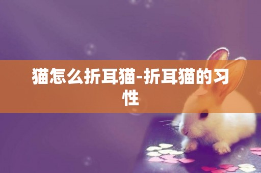 貓怎么折耳貓-折耳貓的習性