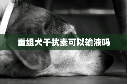 重組犬干擾素可以輸液嗎