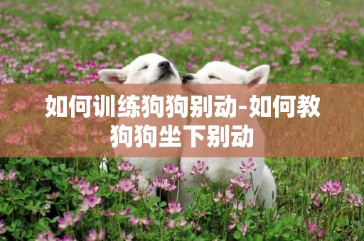 如何訓練狗狗別動-如何教狗狗坐下別動