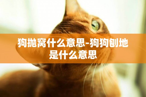 狗拋窩什么意思-狗狗刨地是什么意思