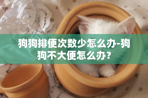 狗狗排便次數少怎么辦-狗狗不大便怎么辦？