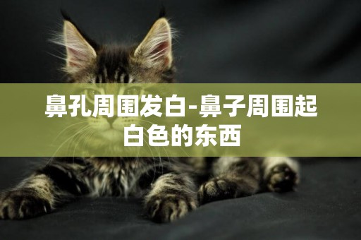 鼻孔周圍發白-鼻子周圍起白色的東西