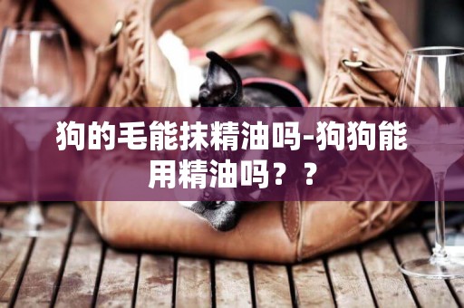 狗的毛能抹精油嗎-狗狗能用精油嗎？？