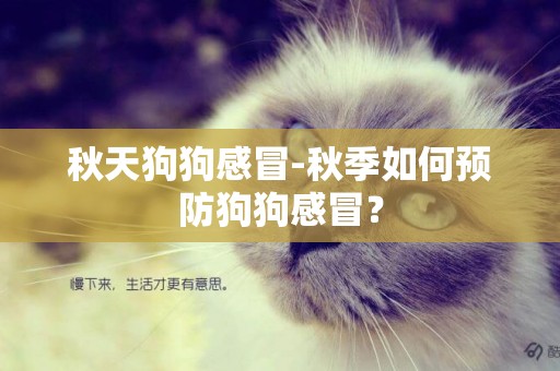 秋天狗狗感冒-秋季如何預防狗狗感冒？