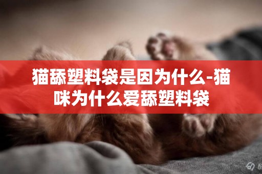 貓舔塑料袋是因為什么-貓咪為什么愛舔塑料袋