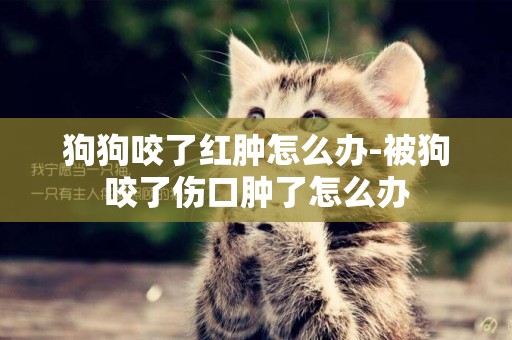 狗狗咬了紅腫怎么辦-被狗咬了傷口腫了怎么辦