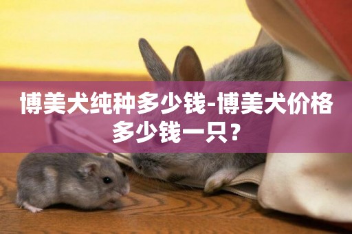 博美犬純種多少錢-博美犬價格多少錢一只？