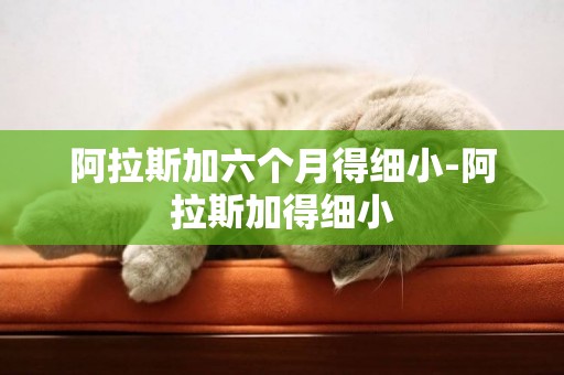 阿拉斯加六個月得細小-阿拉斯加得細小