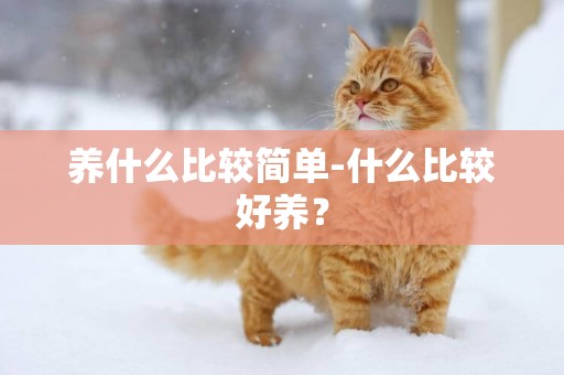 養什么比較簡單-什么比較好養？