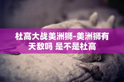 杜高大戰美洲獅-美洲獅有天敵嗎 是不是杜高