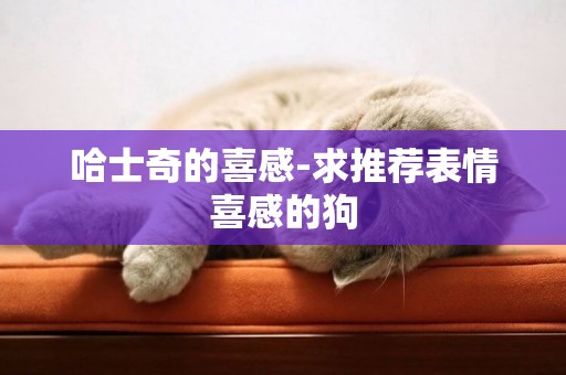 哈士奇的喜感-求推薦表情喜感的狗