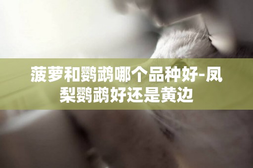 菠蘿和鸚鵡哪個品種好-鳳梨鸚鵡好還是黃邊