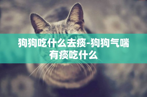 狗狗吃什么去痰-狗狗氣喘有痰吃什么