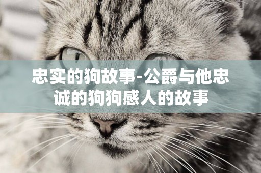 忠實的狗故事-公爵與他忠誠的狗狗感人的故事