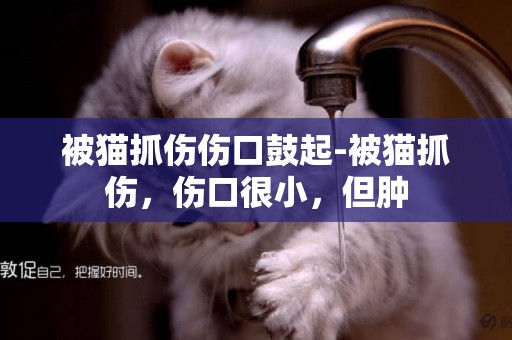 被貓抓傷傷口鼓起-被貓抓傷，傷口很小，但腫