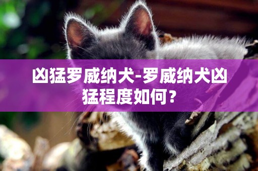 兇猛羅威納犬-羅威納犬兇猛程度如何？