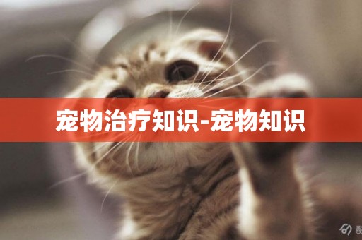 寵物治療知識-寵物知識