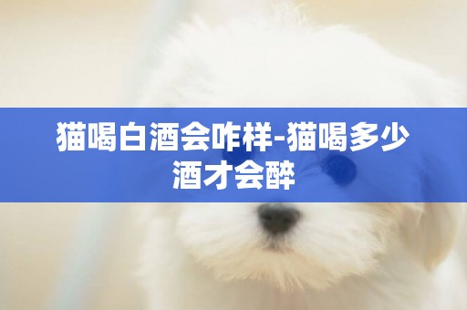 貓喝白酒會咋樣-貓喝多少酒才會醉