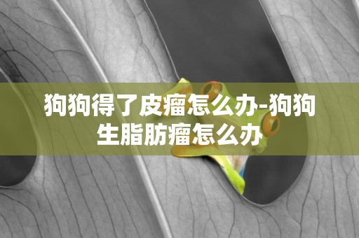 狗狗得了皮瘤怎么辦-狗狗生脂肪瘤怎么辦