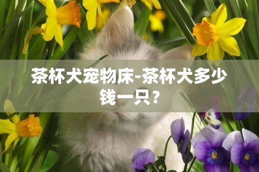 茶杯犬寵物床-茶杯犬多少錢一只？