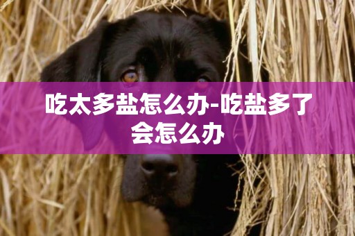 吃太多鹽怎么辦-吃鹽多了會怎么辦