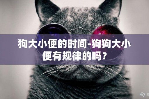 狗大小便的時間-狗狗大小便有規律的嗎？