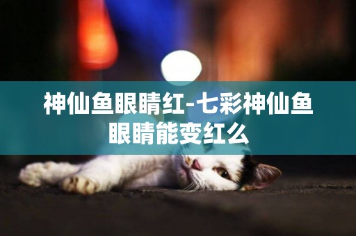 神仙魚眼睛紅-七彩神仙魚眼睛能變紅么