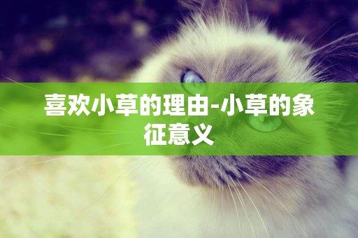 喜歡小草的理由-小草的象征意義