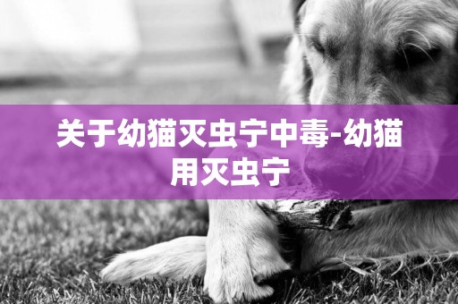 關于幼貓滅蟲寧中毒-幼貓用滅蟲寧