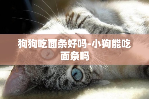 狗狗吃面條好嗎-小狗能吃面條嗎