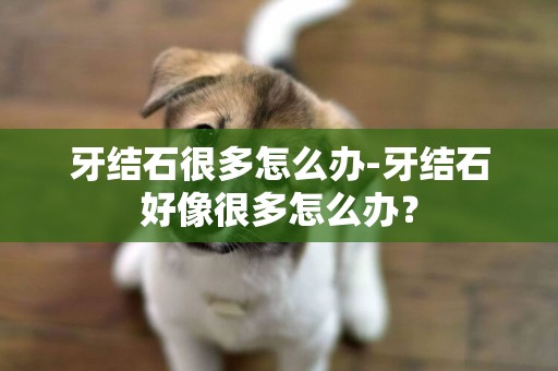 牙結石很多怎么辦-牙結石好像很多怎么辦？