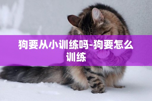 狗要從小訓練嗎-狗要怎么訓練
