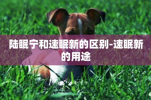 陸眠寧和速眠新的區別-速眠新的用途
