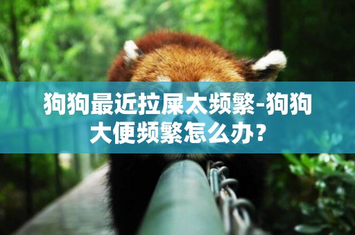 狗狗最近拉屎太頻繁-狗狗大便頻繁怎么辦？