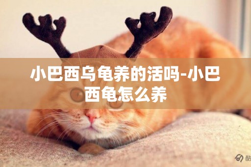 小巴西烏龜養的活嗎-小巴西龜怎么養