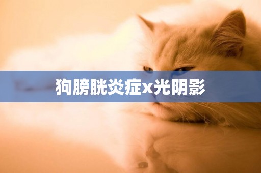 狗膀胱炎癥x光陰影