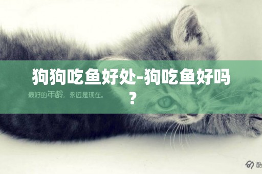 狗狗吃魚好處-狗吃魚好嗎？