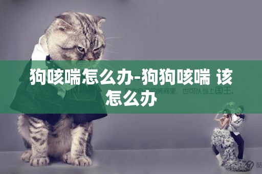 狗咳喘怎么辦-狗狗咳喘 該怎么辦