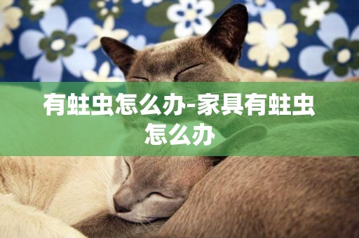 有蛀蟲怎么辦-家具有蛀蟲怎么辦