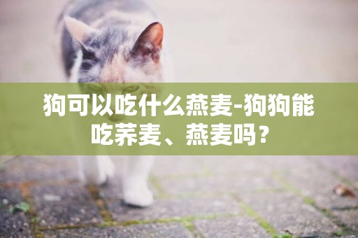 狗可以吃什么燕麥-狗狗能吃蕎麥、燕麥嗎？
