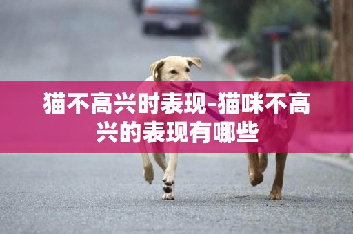 貓不高興時表現-貓咪不高興的表現有哪些