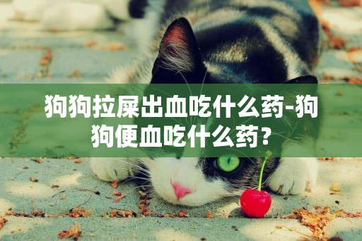 狗狗拉屎出血吃什么藥-狗狗便血吃什么藥？