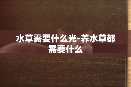 水草需要什么光-養水草都需要什么