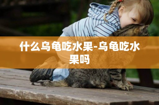 什么烏龜吃水果-烏龜吃水果嗎