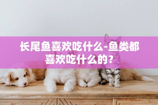 長尾魚喜歡吃什么-魚類都喜歡吃什么的？