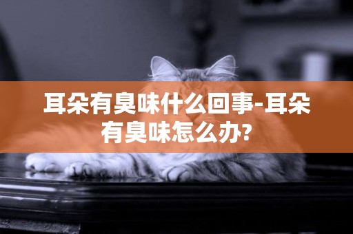 耳朵有臭味什么回事-耳朵有臭味怎么辦?