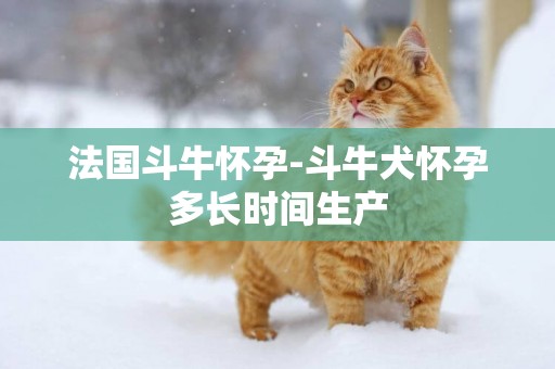 法國斗牛懷孕-斗牛犬懷孕多長時間生產