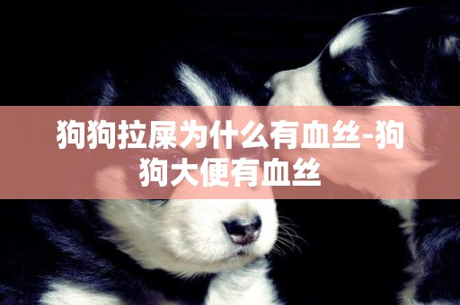 狗狗拉屎為什么有血絲-狗狗大便有血絲